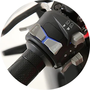 CONTROLES RETROILUMINADOS — QJMotor SRK 125 R