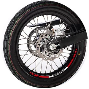 JANTE TRASEIRA — QJMotor SRT 125DX