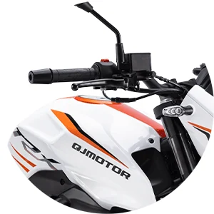 Manete de travão ajustável — QJMotor TRX 125